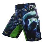 MMA Shorts
